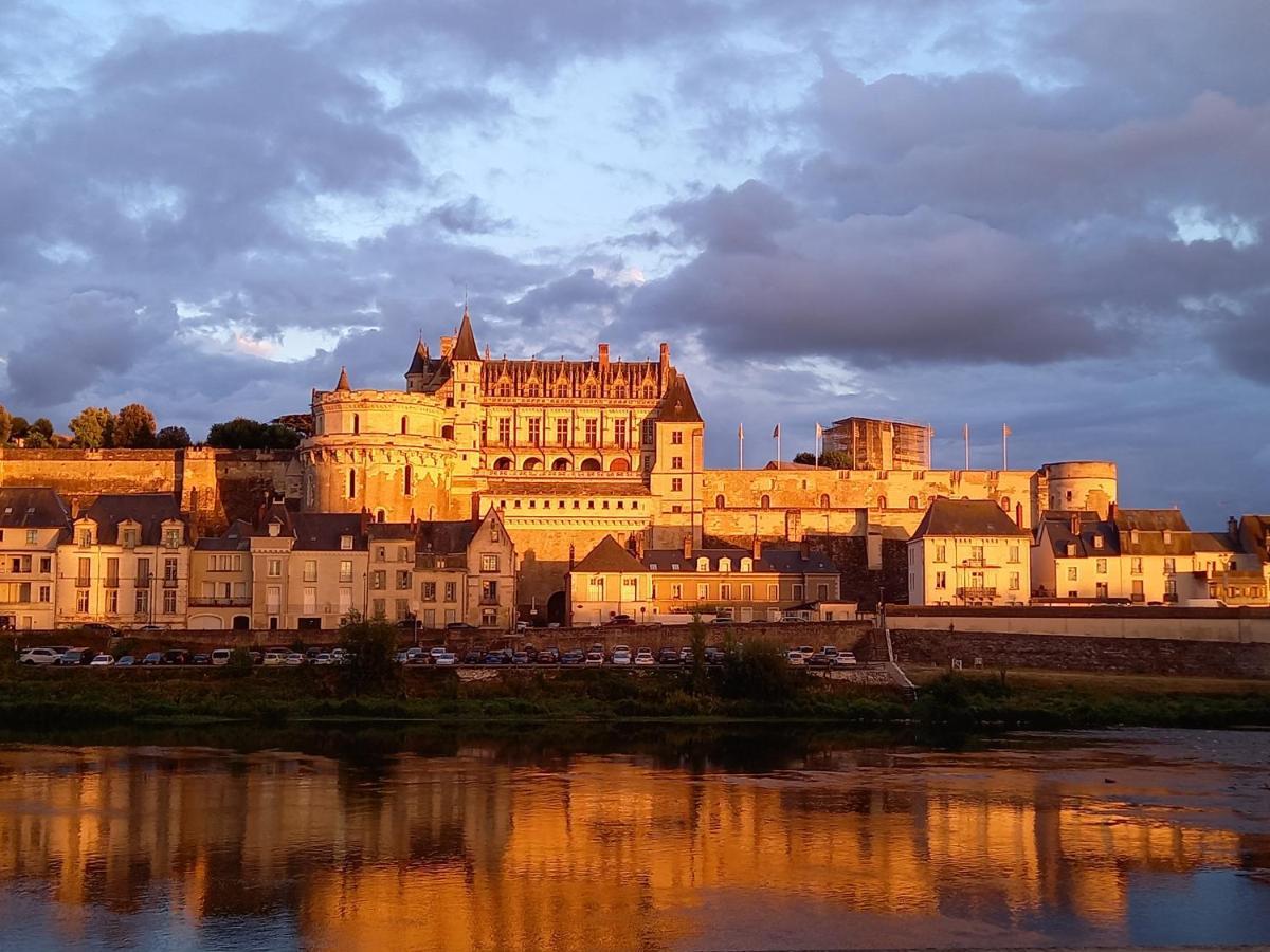 La Petite Lucette Villa Amboise Bagian luar foto