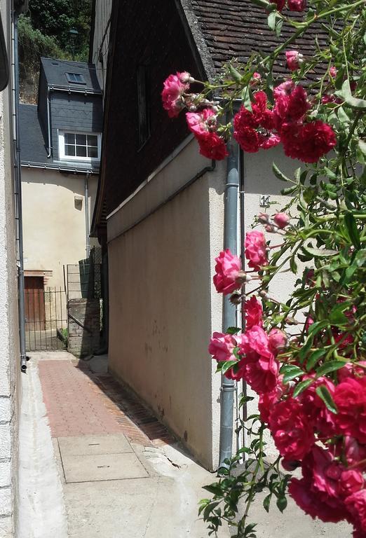 La Petite Lucette Villa Amboise Bagian luar foto