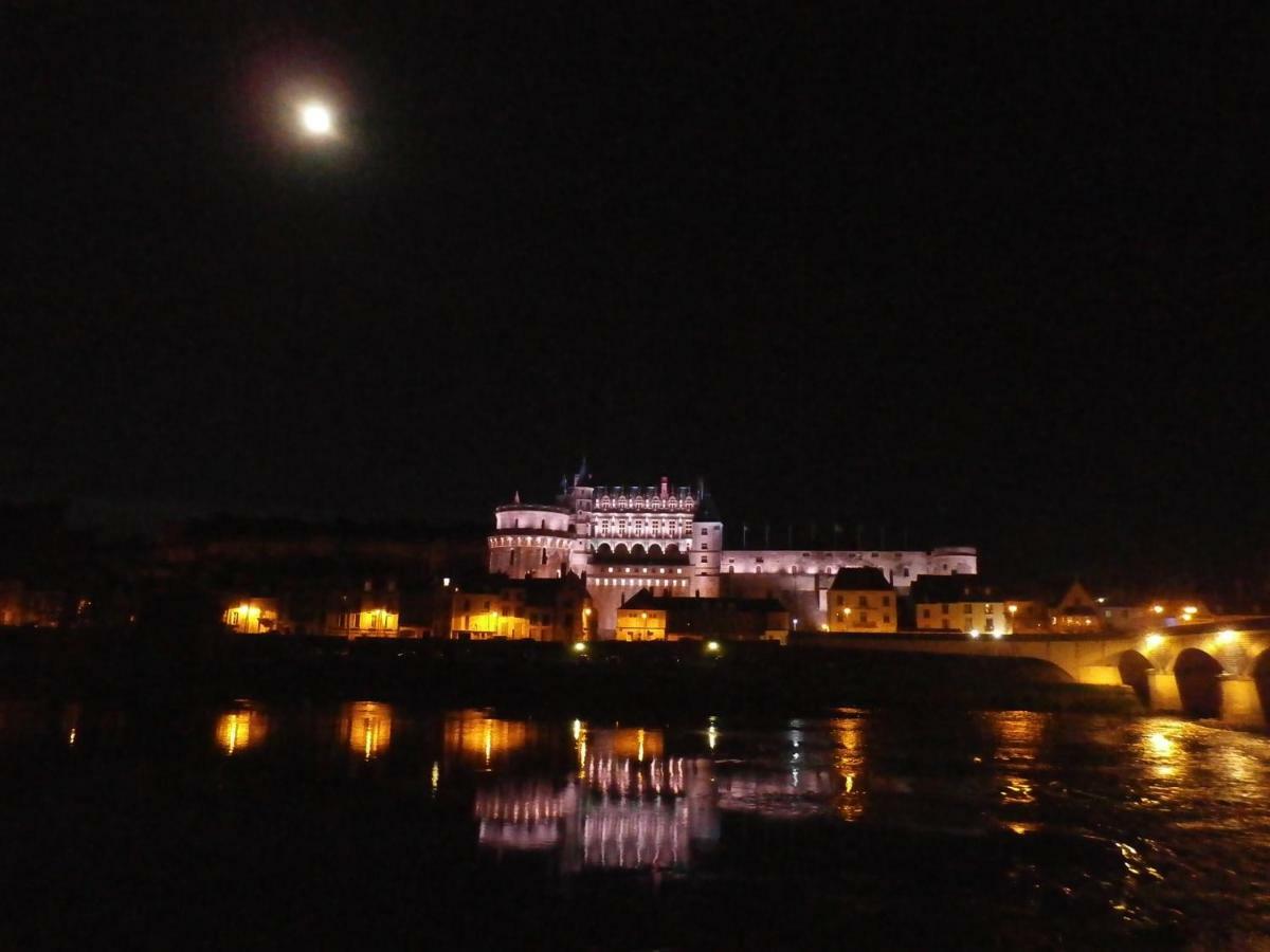 La Petite Lucette Villa Amboise Bagian luar foto